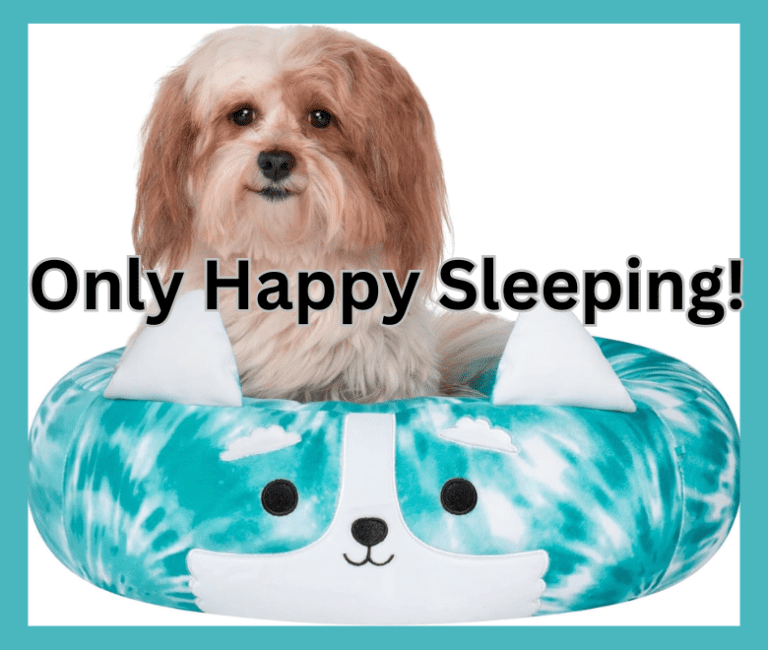 Squishmallow Dog Beds