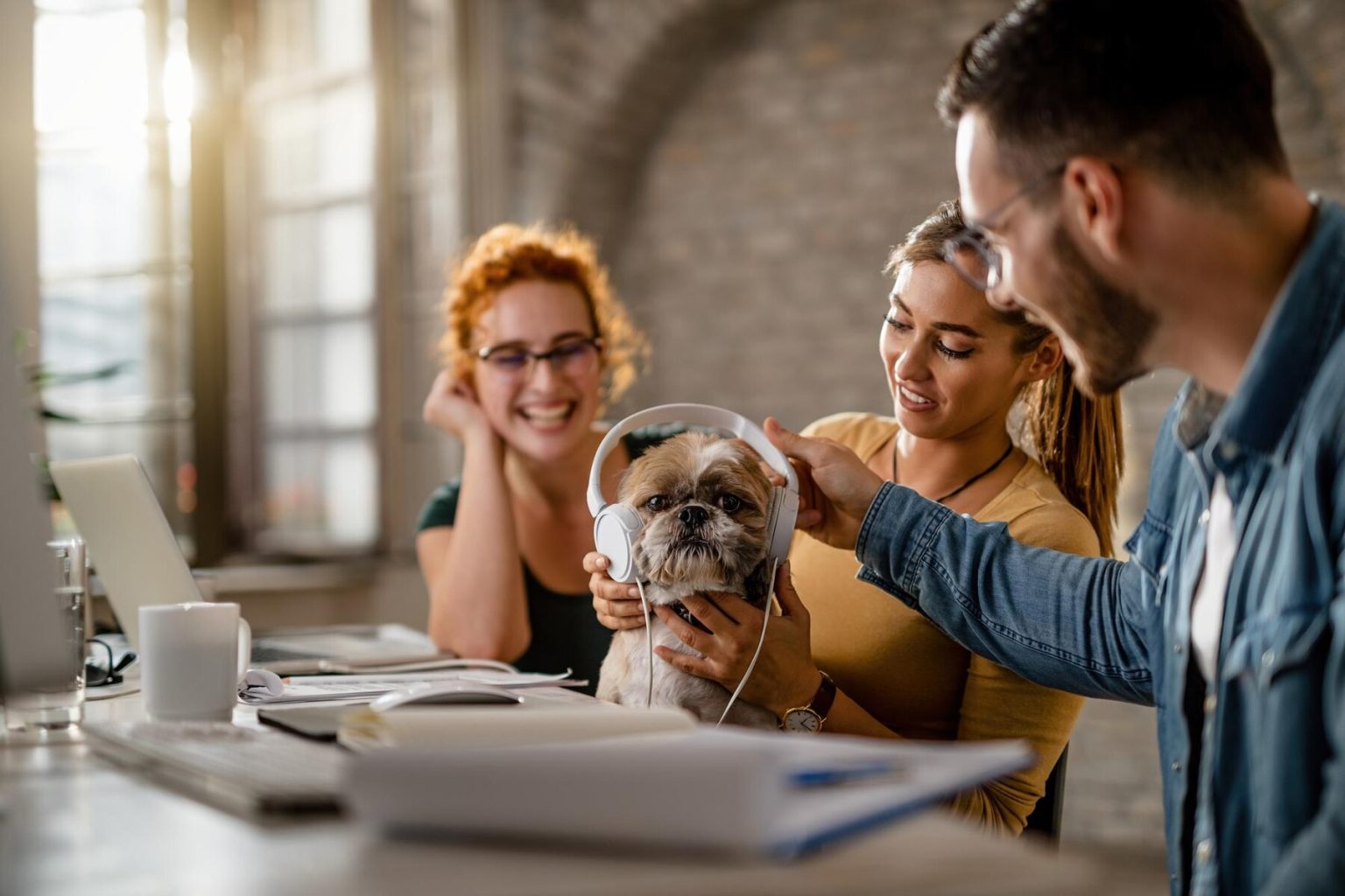 Exploring Pet Insurance and Its Tax Implications