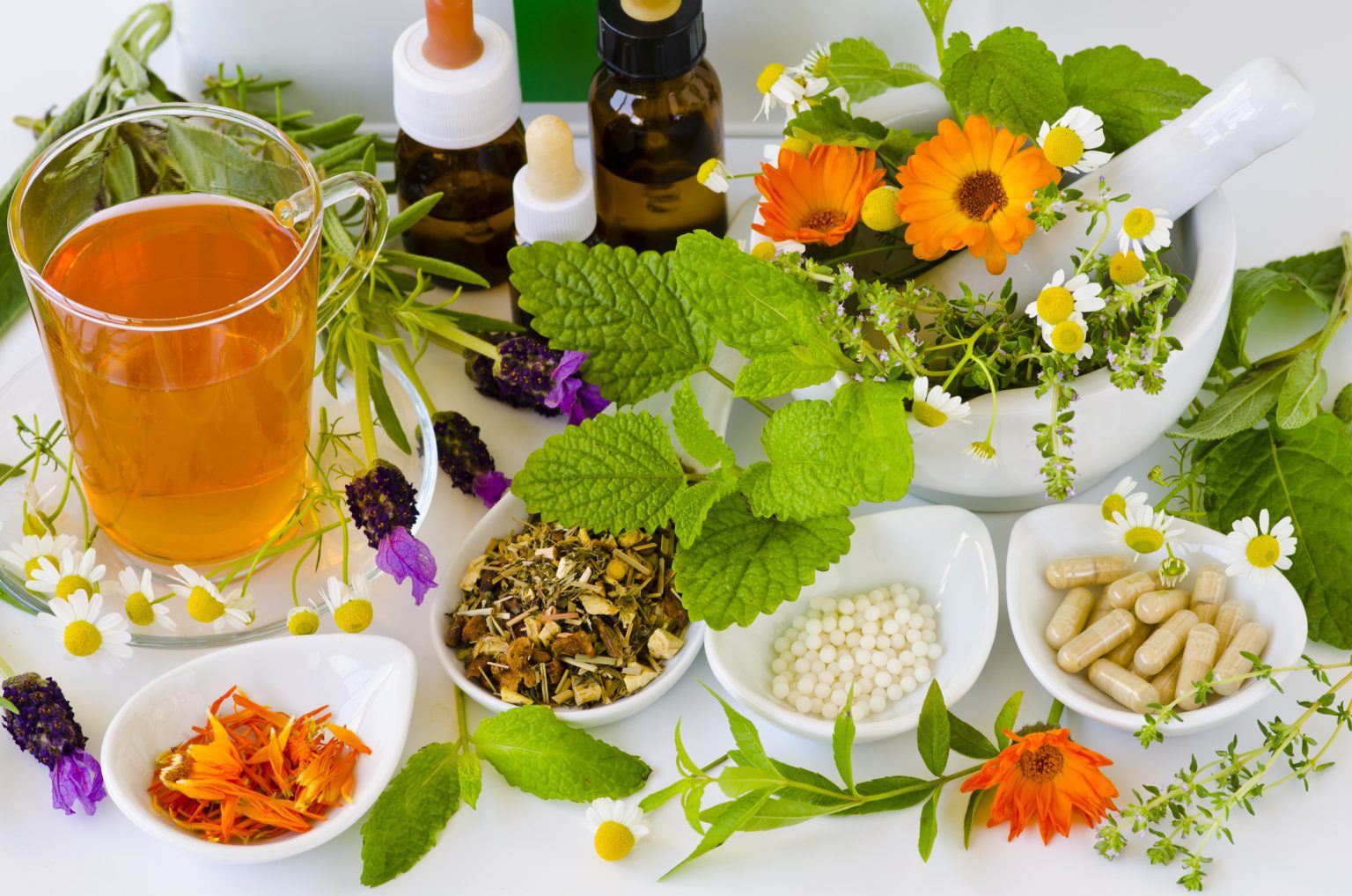 Herbal Support for a Resilient Immune System