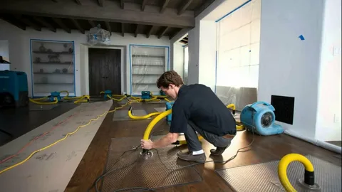 How Hoarding Cleanup Restores Peace of Mind